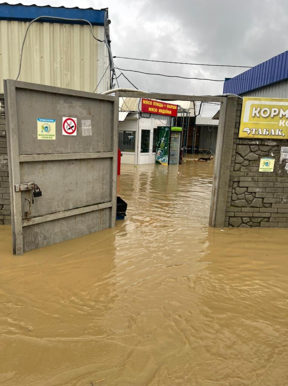 Фото: скриншот с youtube Фото: скриншот с youtube