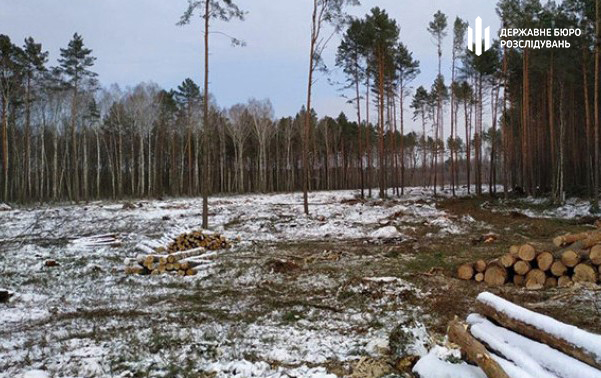 Фото с сайта ГБР