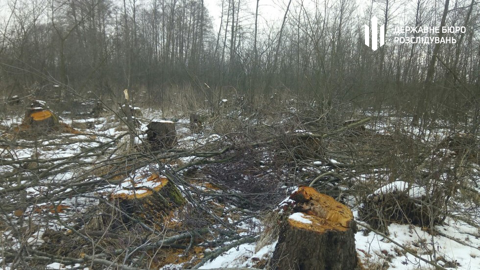 Фото с сайта ГБР