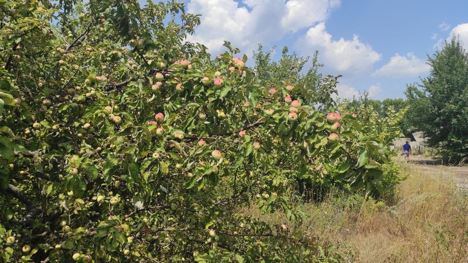 Фото: Суспільне.Харків