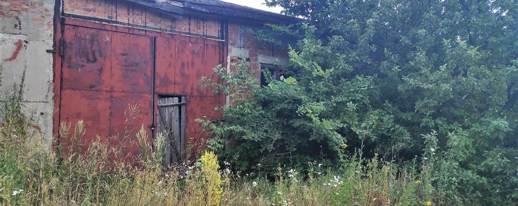 Фото: Суспільне.Харків