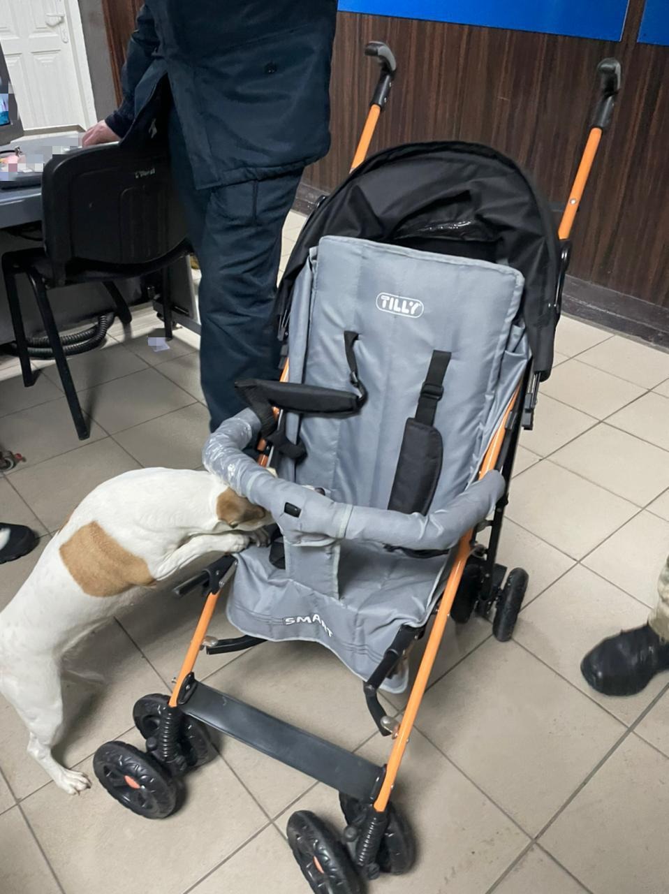 Фото: сайт Харьковской облпрокуратуры