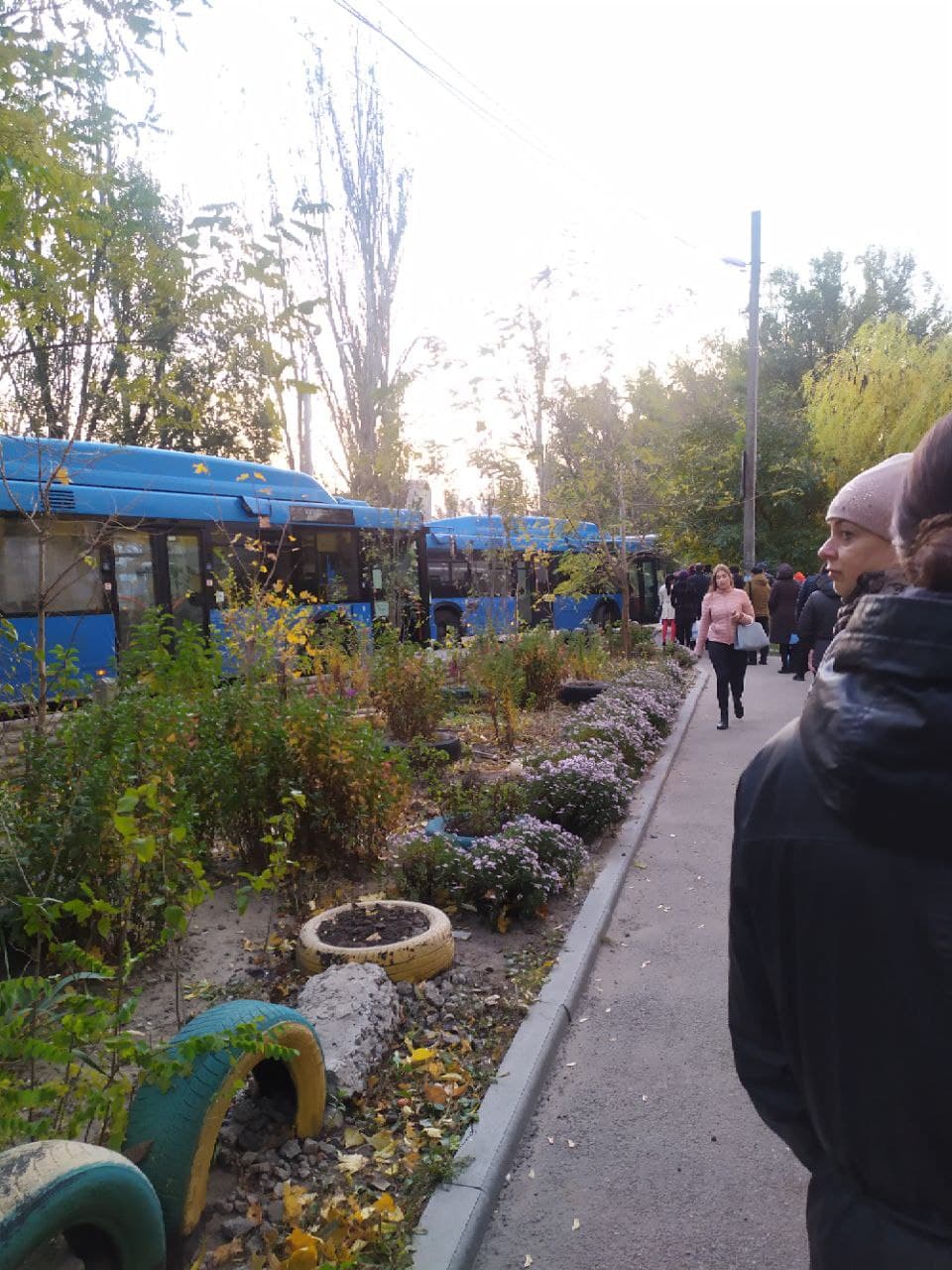 Фото: сайт vgorode Фото: сайт vgorode