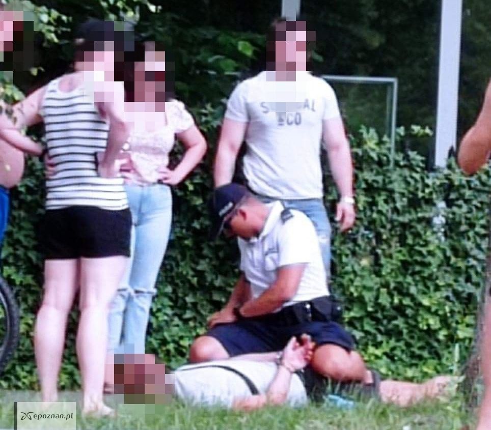 Ілюстрація з порталу epoznan.pl