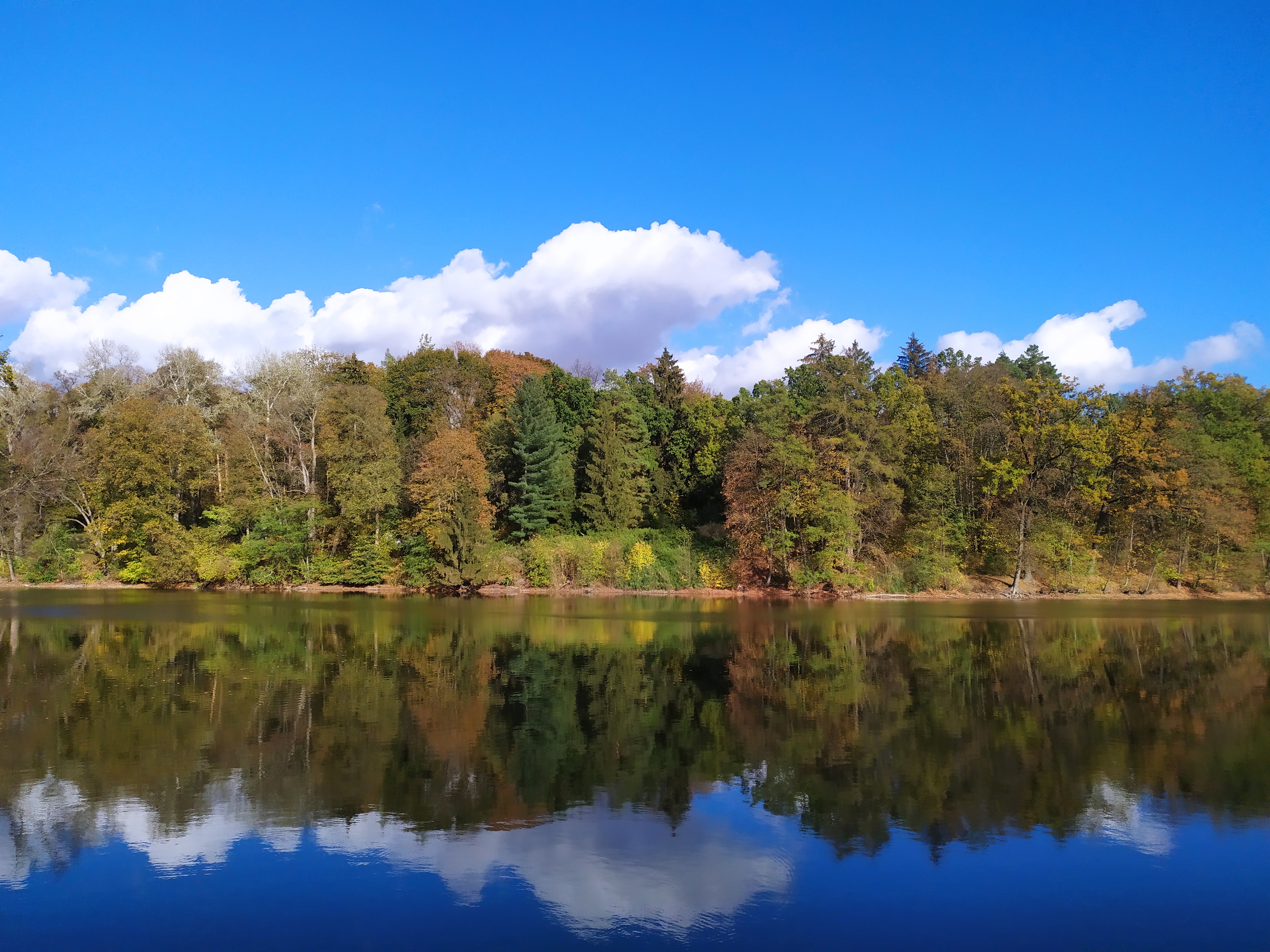 Заросшая часть Тростянецкого дендропарка