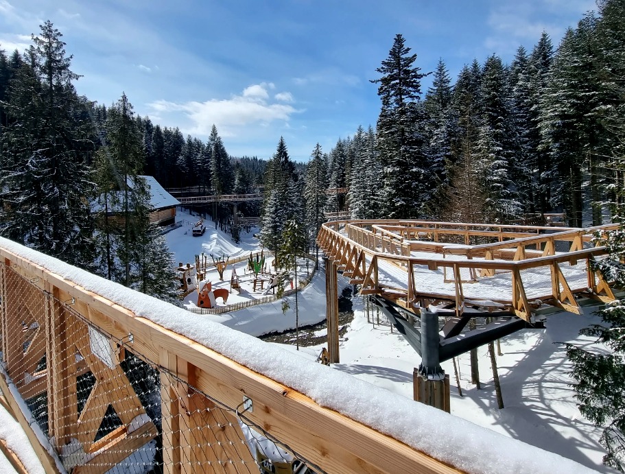 Зимняя доступность леса, Польша