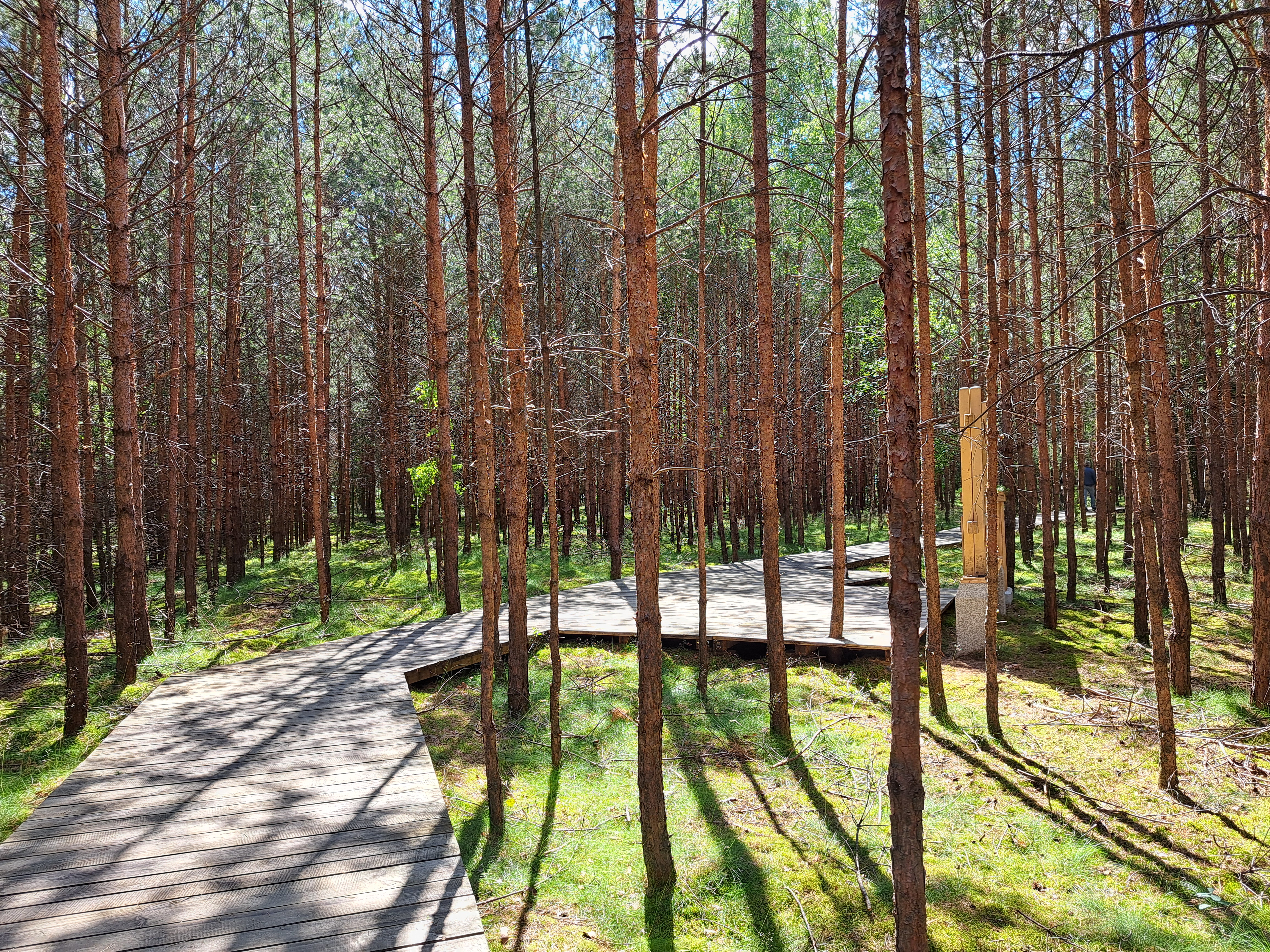 Физическая доступность леса, Стобница, Польша