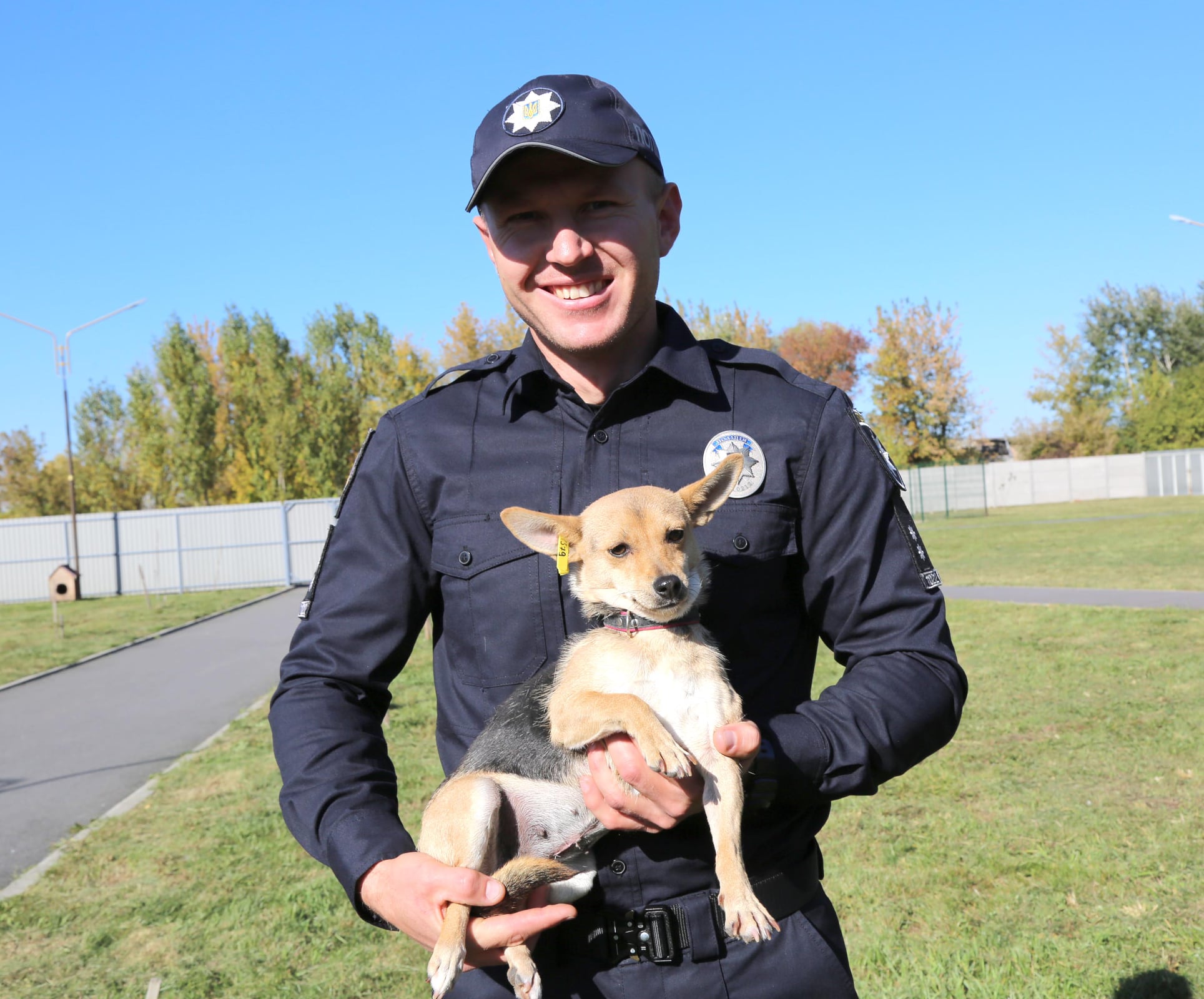 Щасливий вже домашній песик. Щасливий вже домашній песик.