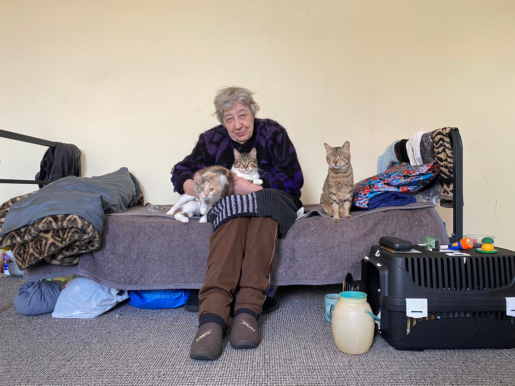 Людмила Ивановна из Херсона и ее кошки Людмила Ивановна из Херсона и ее кошки