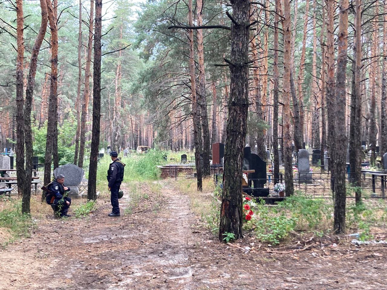 Ліс поблизу будинку родини Черняків…