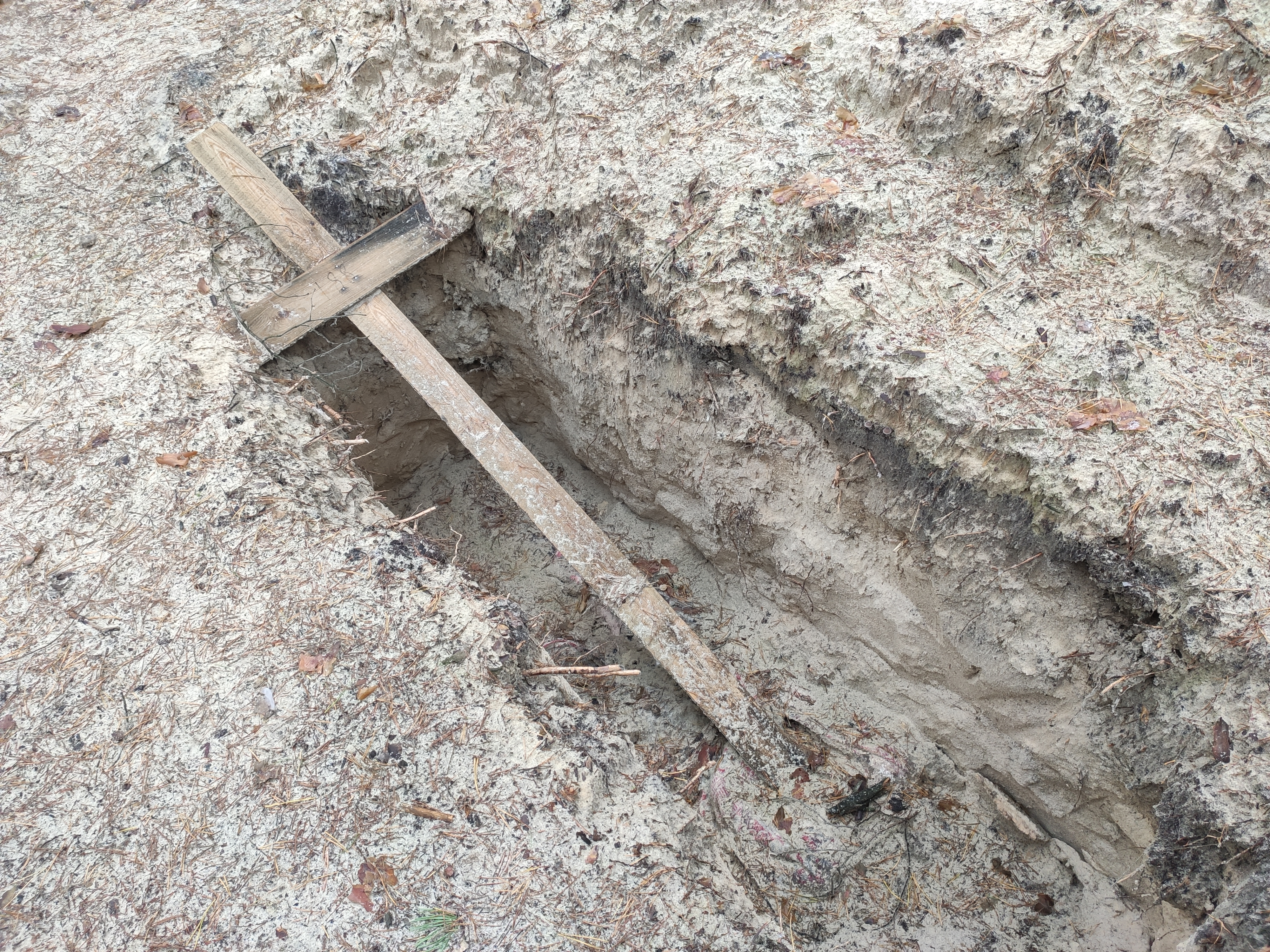 Могила №188, у якій міг бути похований 85-літній ізюмець Могила №188, у якій міг бути похований 85-літній ізюмець