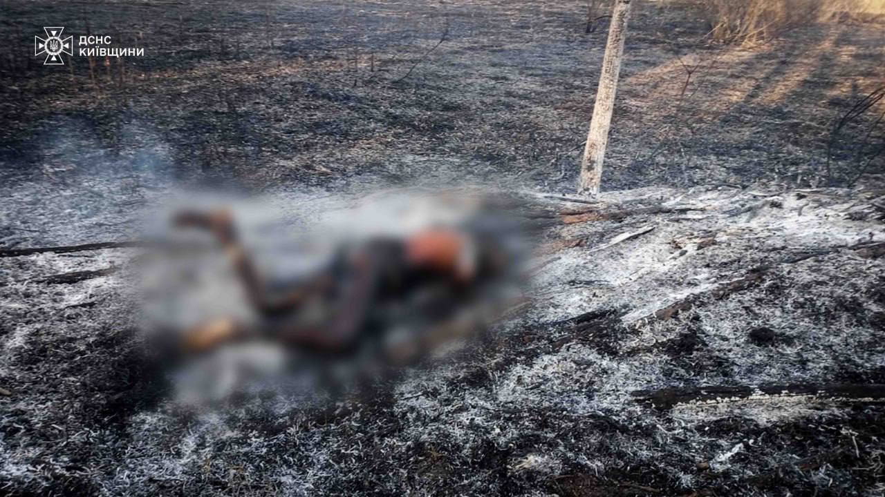 У Київській області внаслідок спалювання сухої трави двоє людей загинули