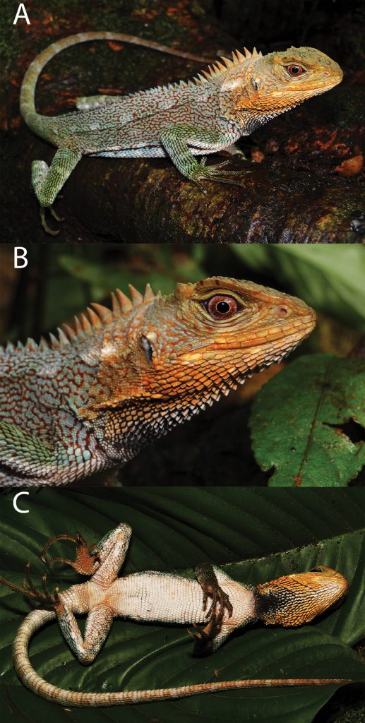 evolsyst.pensoft.net