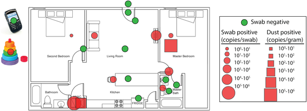 Maestre et al / Science of the Total Environment, 2021