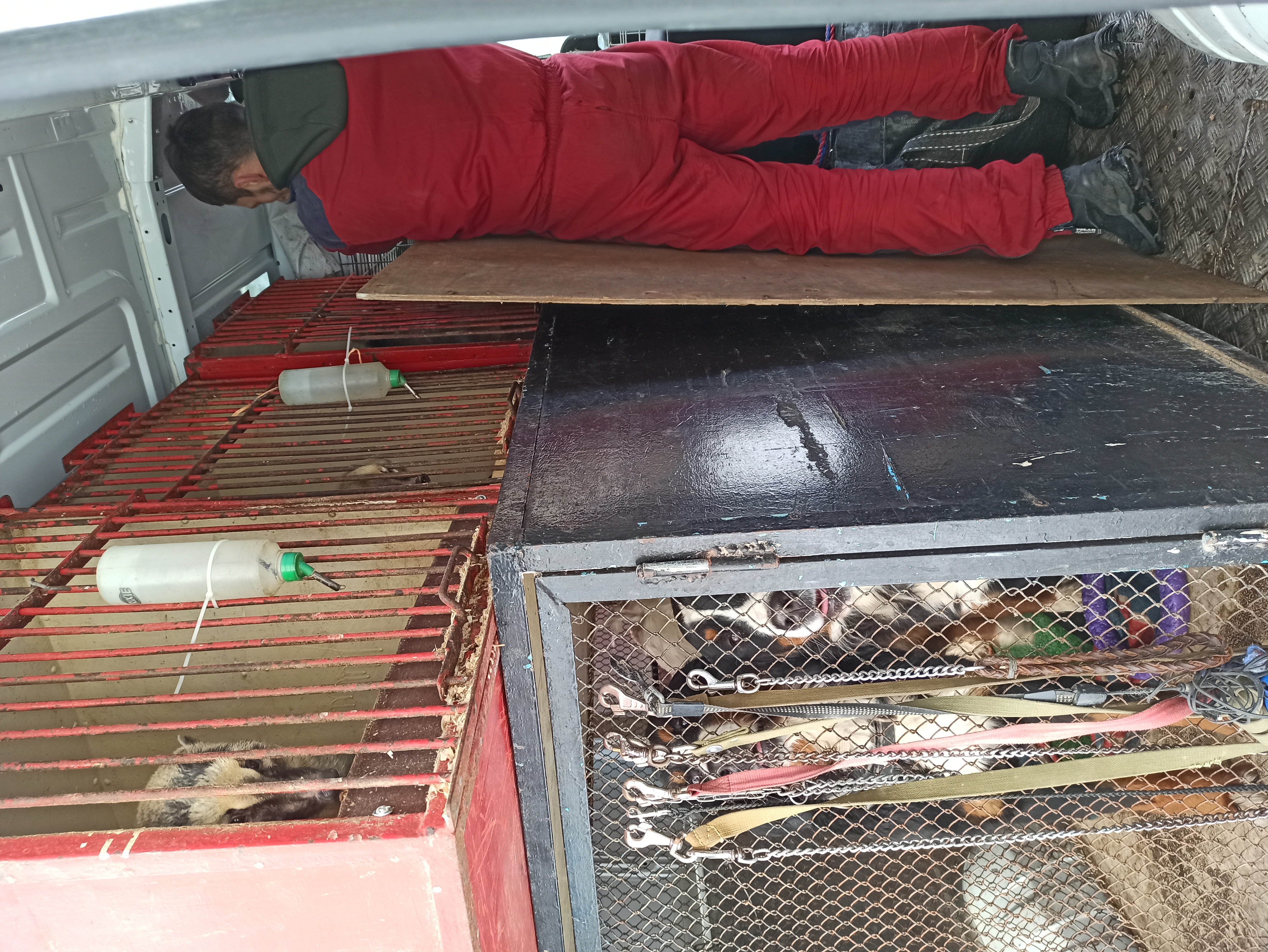 Daria Maichuk's archive Daria Maichuk's archive