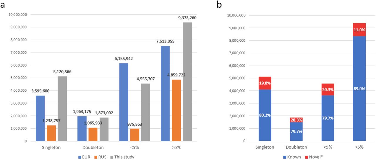 Частоты разных классов SNP в украинской базе вариаций генома. Процент новых мутаций в разных классах SNP. Частоты разных классов SNP в украинской базе вариаций генома. Процент новых мутаций в разных классах SNP.
