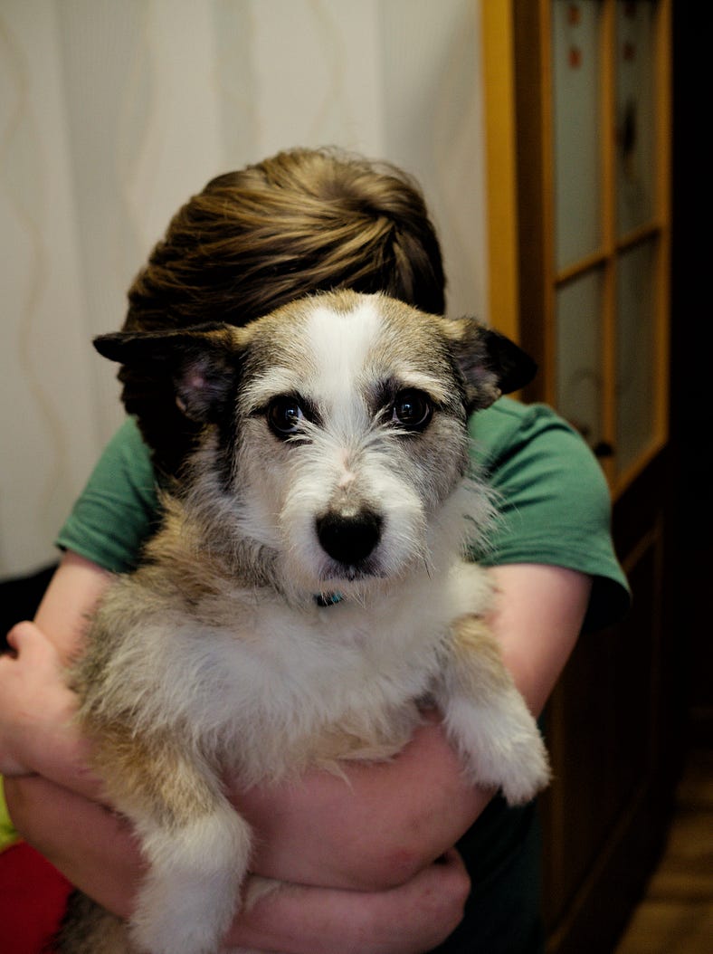 Лев і песик Боня Лев і песик Боня