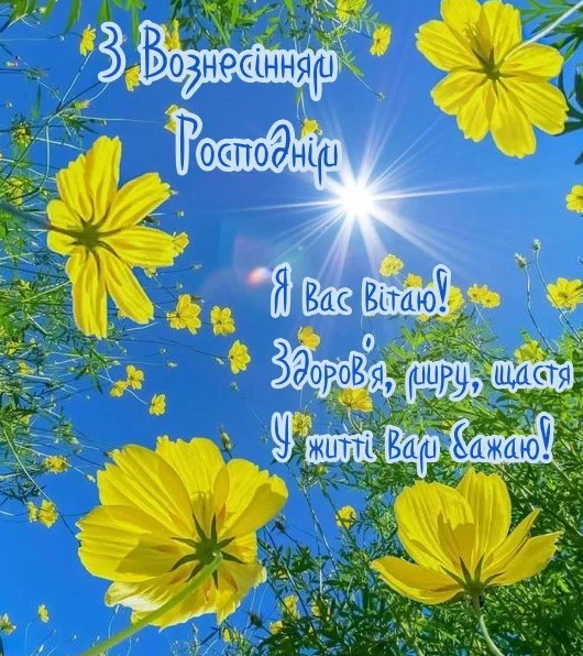 аpostrophe.ua аpostrophe.ua