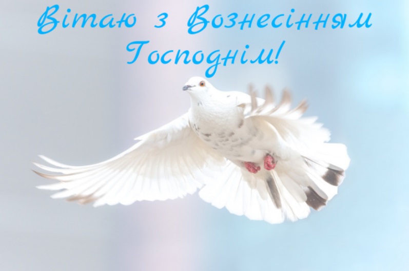 аpostrophe.ua аpostrophe.ua