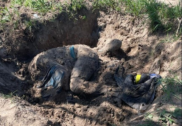 Фото: Офис генпрокурора Фото: Офис генпрокурора