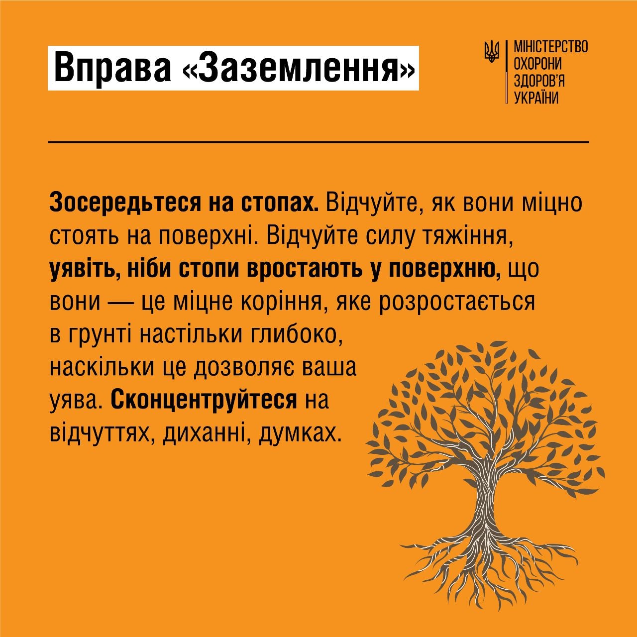 Міністерство охорони здоров'я України Міністерство охорони здоров'я України