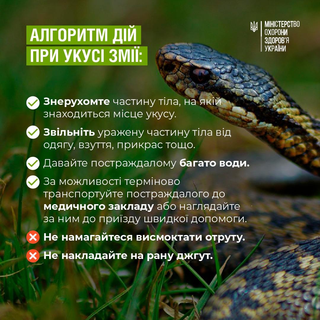 Міністерство охорони здоров'я