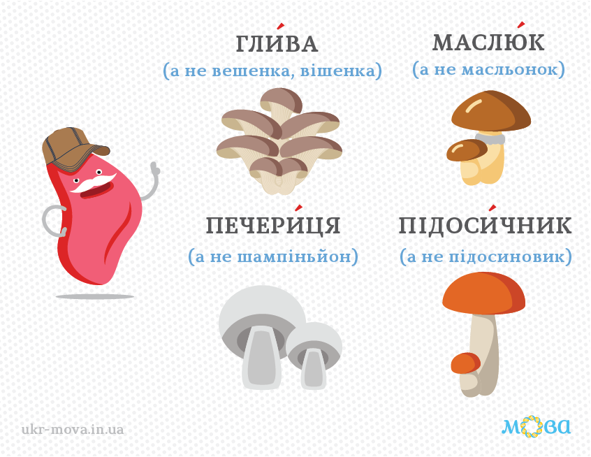 Язык – ДНК нации Язык – ДНК нации