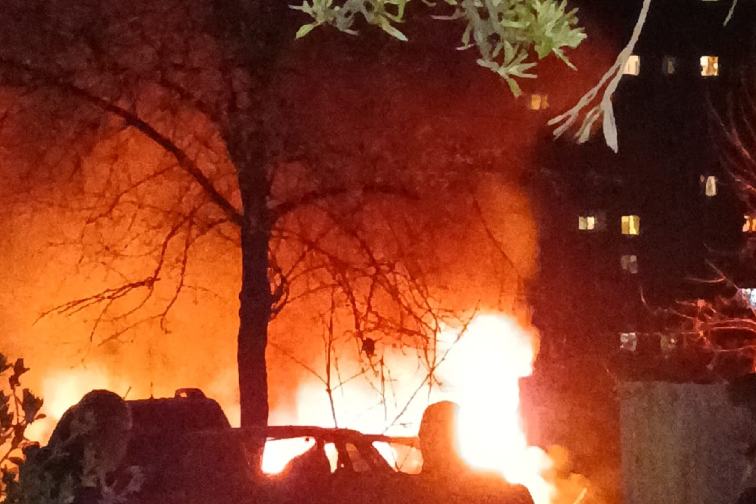 photo_2026-04-21_02-24-04.jpg (453 KB)