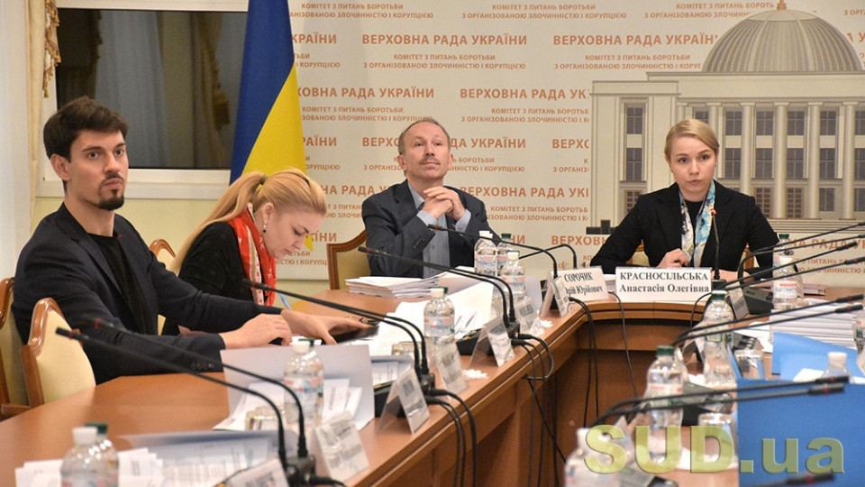 Голова комітету ВР з питань боротьби з корупцією Анастасія Радина веде засідання комітету Голова комітету ВР з питань боротьби з корупцією Анастасія Радина веде засідання комітету