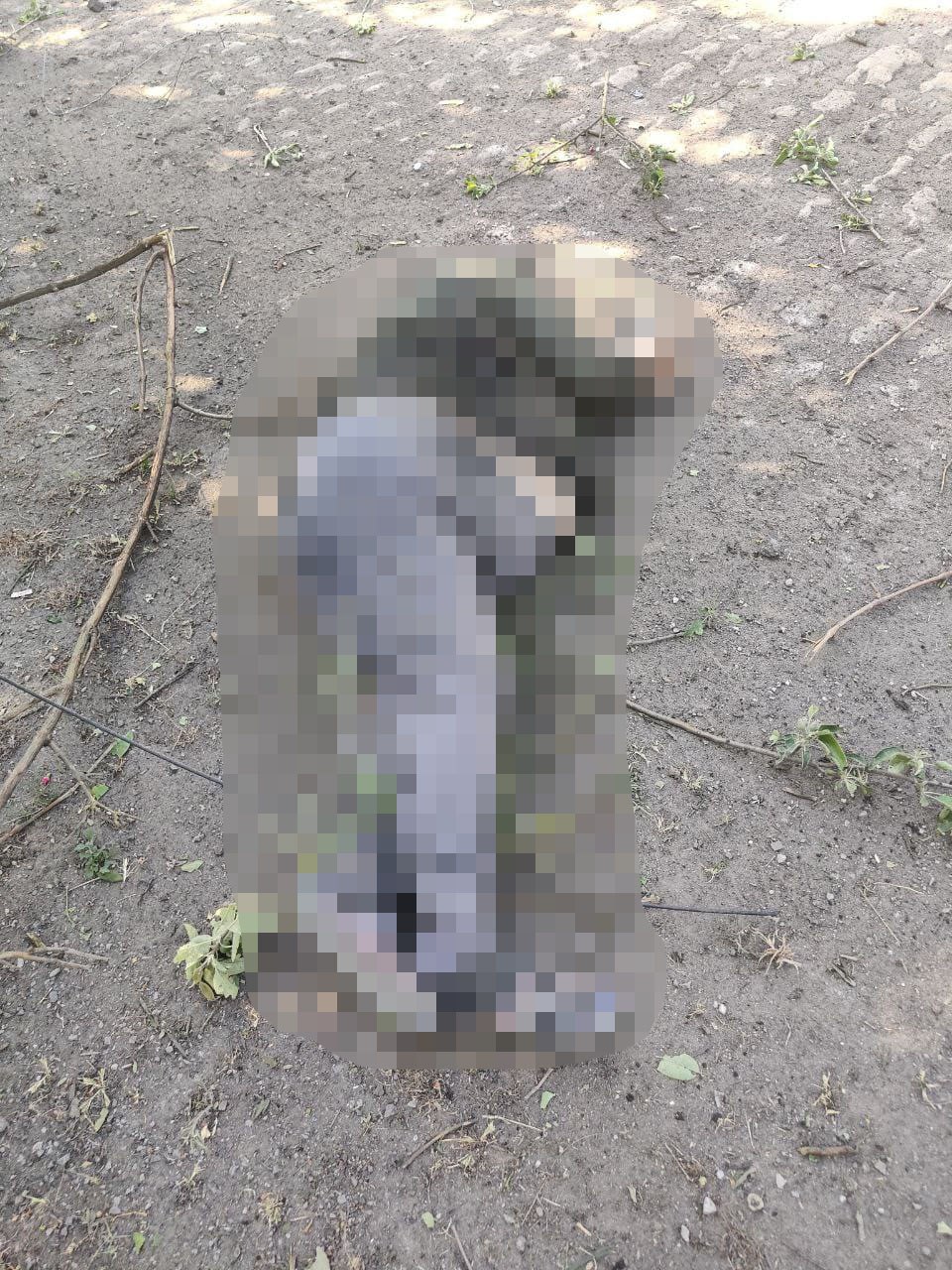 Фото: Донецкая областная прокуратура