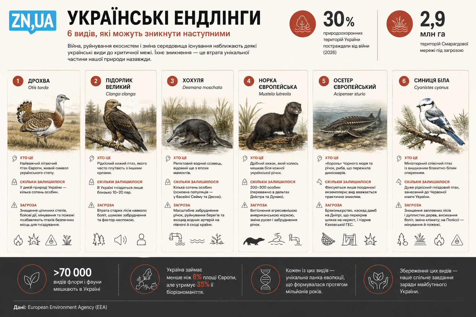 Шість видів, які можуть зникнути наступними: від дрохви й білої синиці до європейської норки та осетра