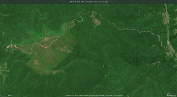 Супутникові знімки полонини Руна та прилеглих лісів, через які навесні 2025 року було прокладено дорогу, станом на 1 липня 2025 року