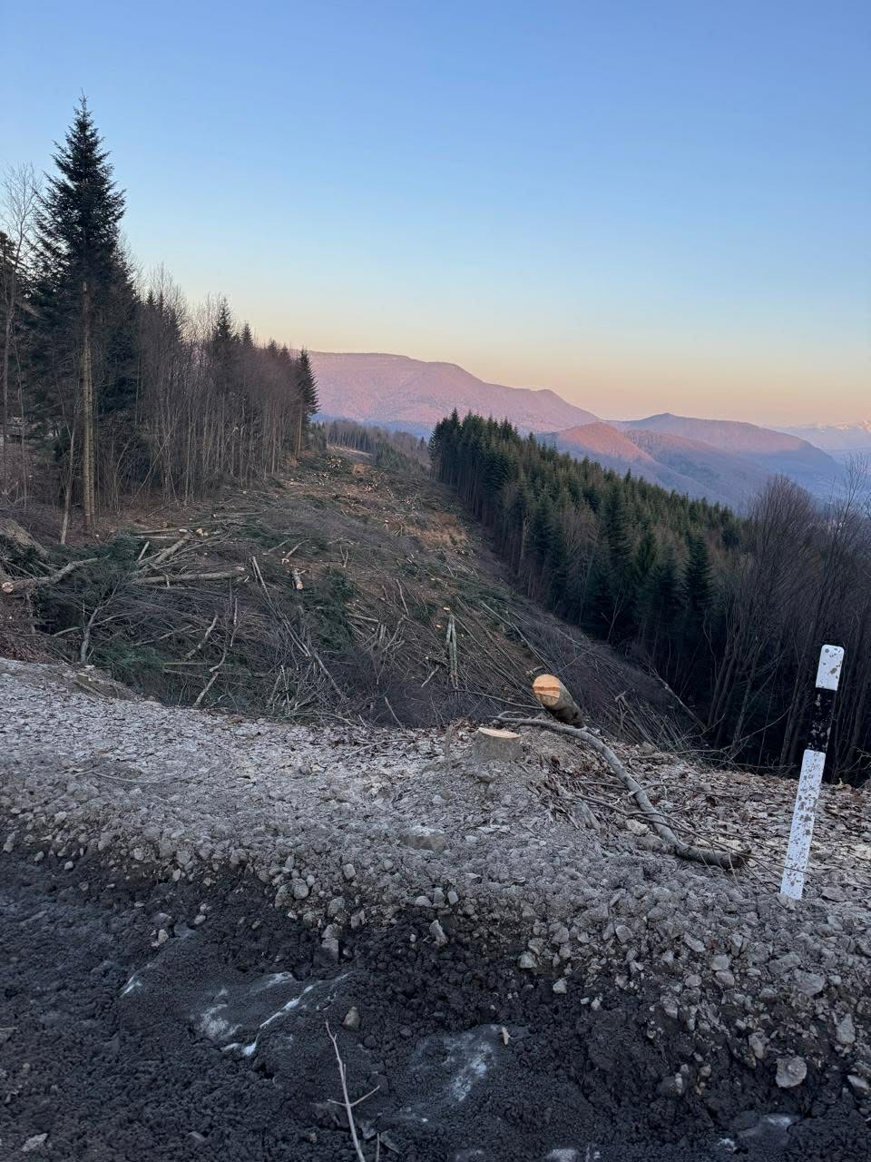 Прорубана серед лісу 50-метрова просіка під будівництво лінії електропередачі на полонину Руна