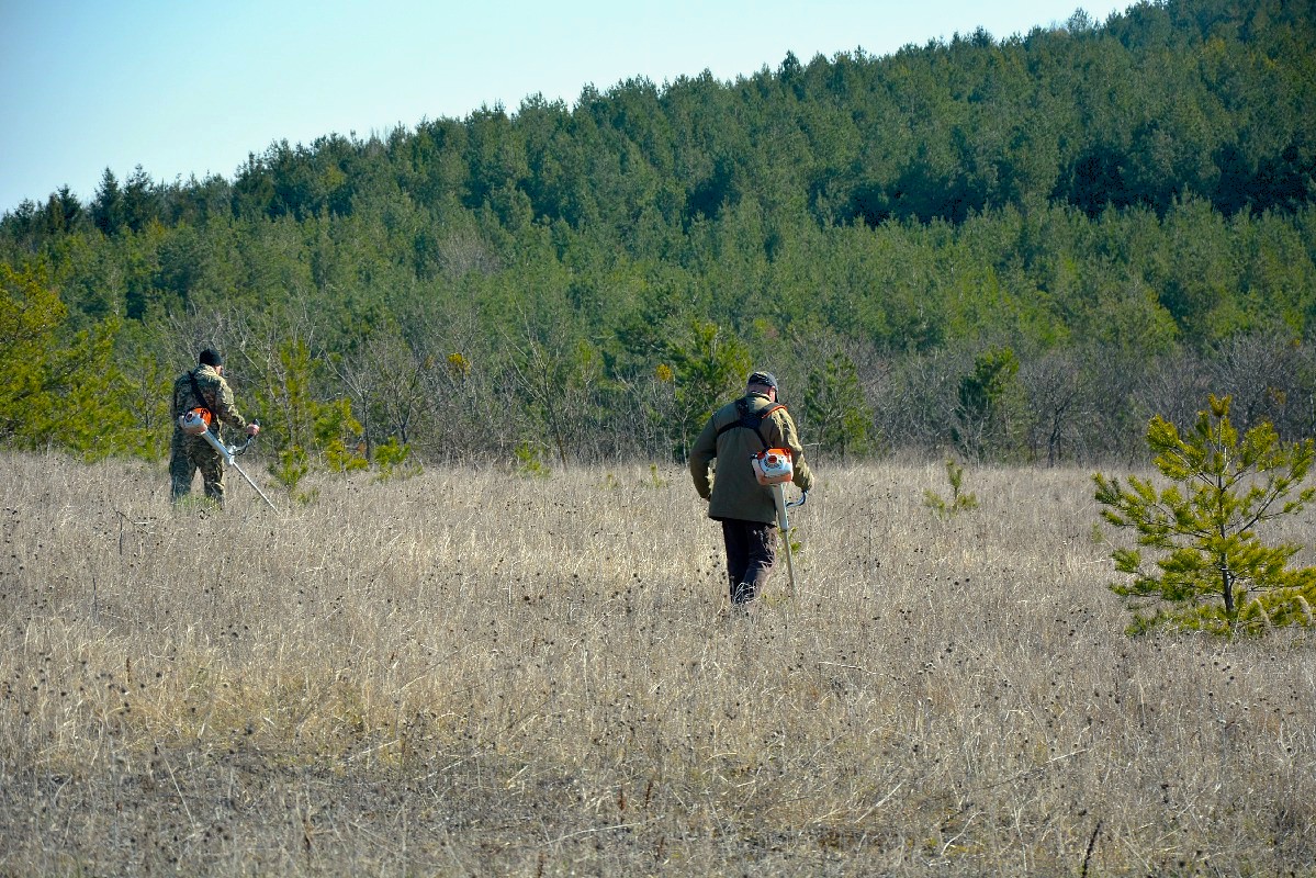 Проведення природоохоронних заходів у національному природному парку «Північне Поділля» Проведення природоохоронних заходів у національному природному парку «Північне Поділля»