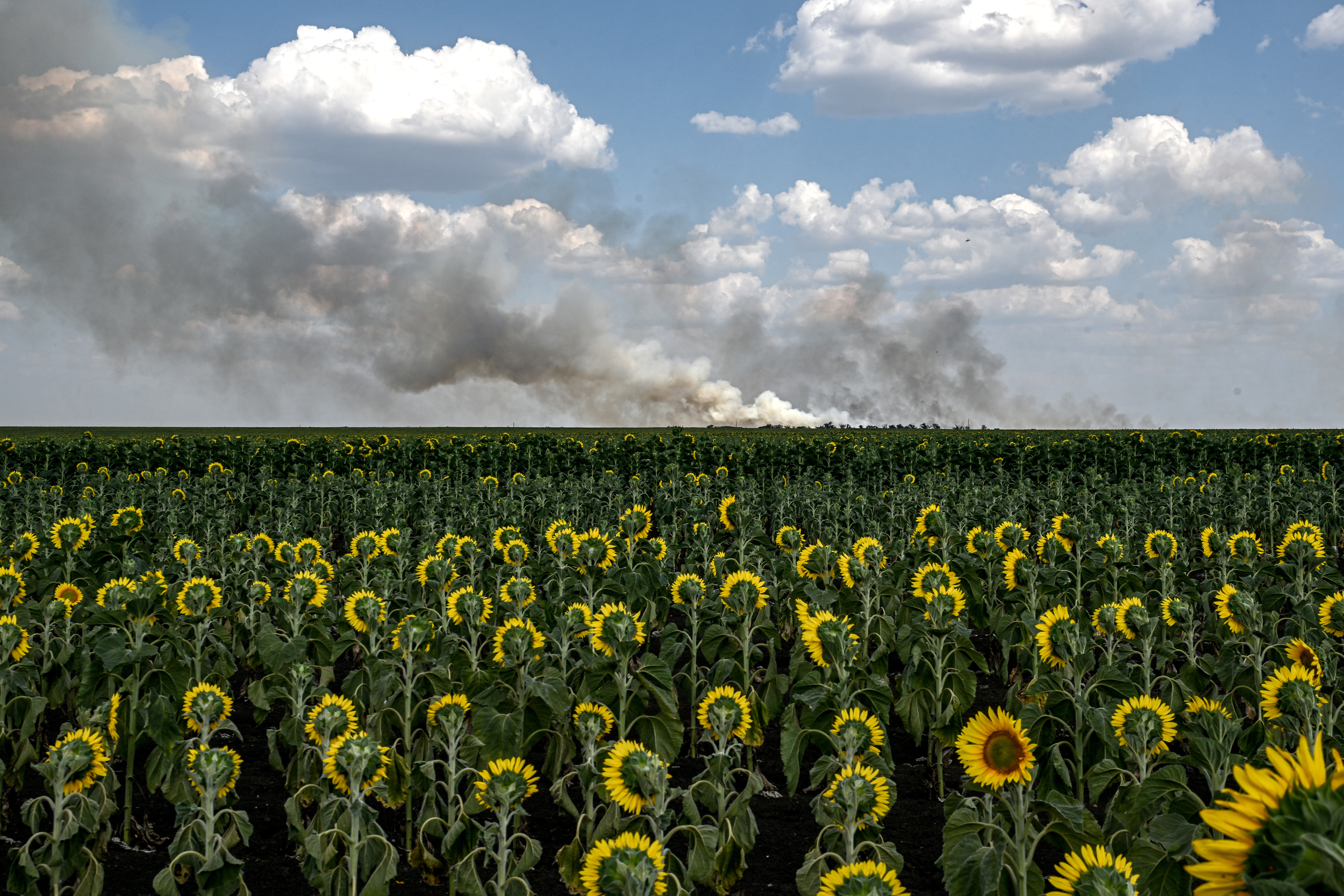 Дмитро Смольєнко / Укрінформ Дмитро Смольєнко / Укрінформ