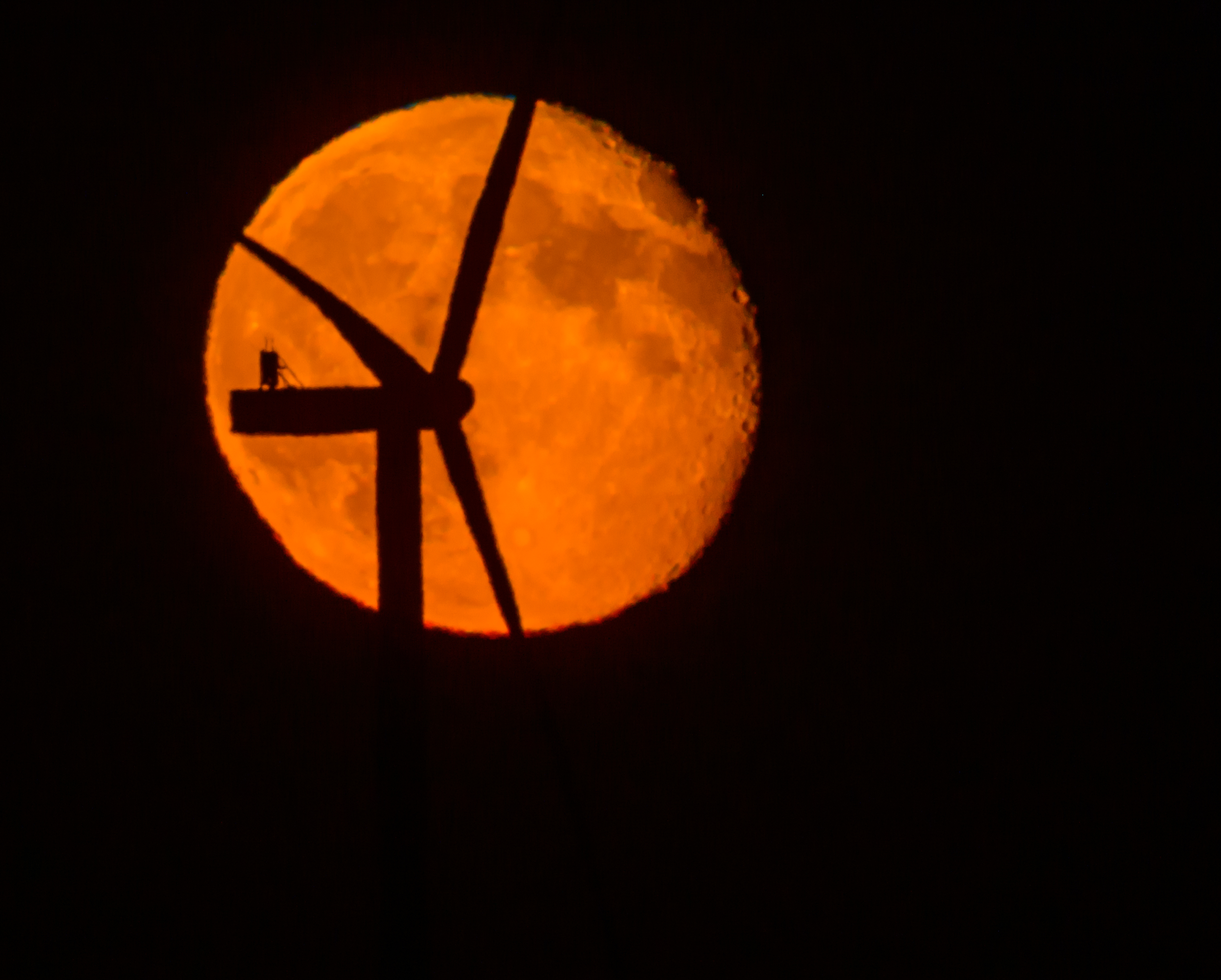 Зайберсдорф, Австралія