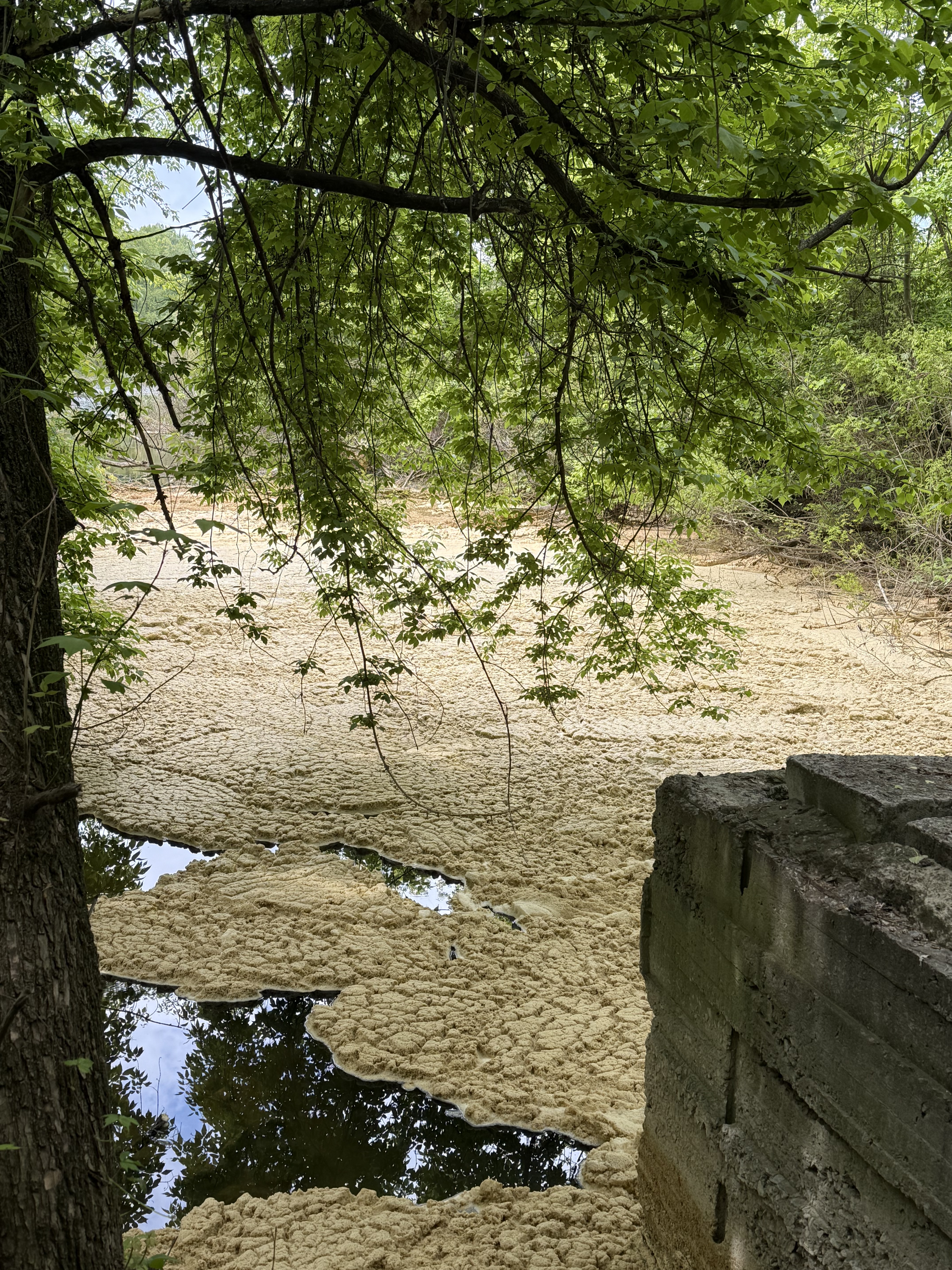 Один із колекторів у районі Русанівських садів, стоки з якого потрапляють у Дніпро, м. Київ