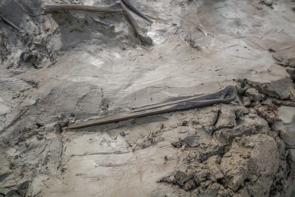 Кинджал з кістки, знайдений поруч з рештками собаки. Кинджал з кістки, знайдений поруч з рештками собаки.