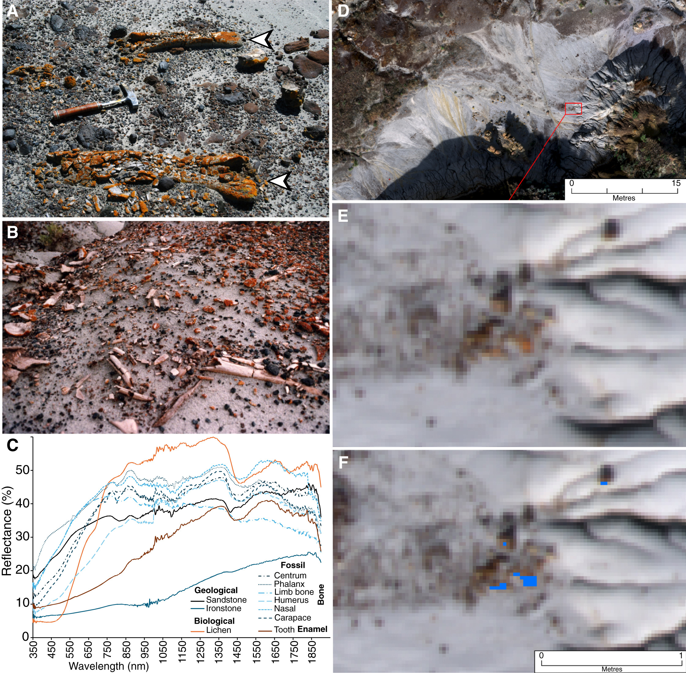 Зображення, отримані з дронів (RPAS). Зображення, отримані з дронів (RPAS).