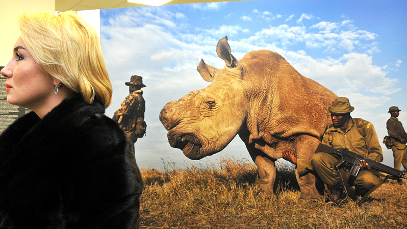 World Press Photo - самый авторитетный международный обзор мировой фотожурналистики, много в чем определяющий стандарты профессии.