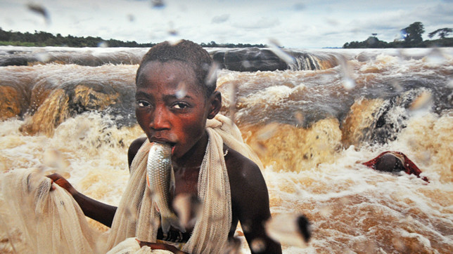 World Press Photo - самый авторитетный международный обзор мировой фотожурналистики, много в чем определяющий стандарты профессии.