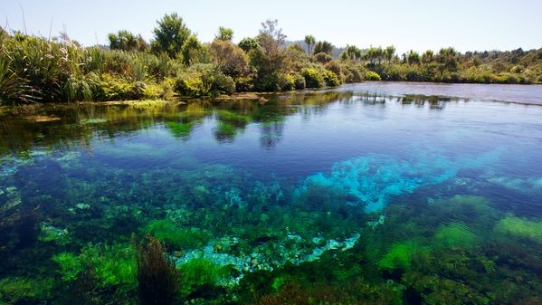 Источники Те Waikoropupu, Новая Зеландия