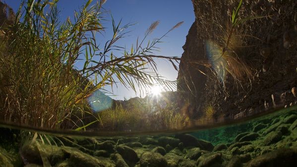 Wadi Wurayah, Фуджейра, ОАЭ