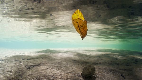 Гунунг Мулу — национальный парк в малазийском штате Саравак, недалеко от города Мири