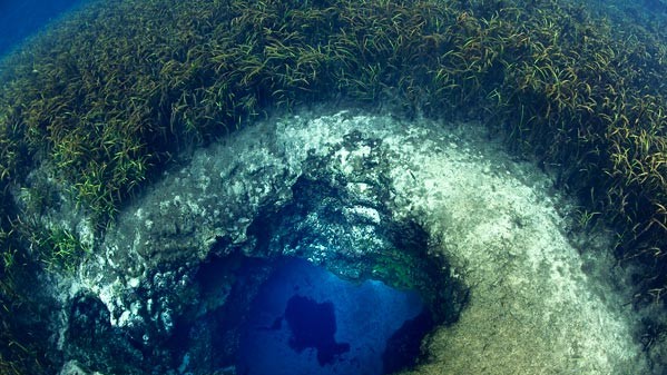 Blue Spring Hole, Ichetuknee River, Флорида