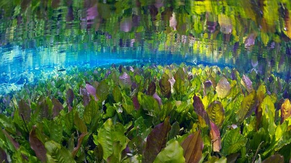 Serra da Bodoquena, Бразилия