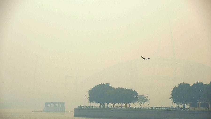 Сингапур задыхается от дыма индонезийских пожаров