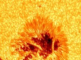 Снимки солнечных пятен той же обсерватории в 2010 году