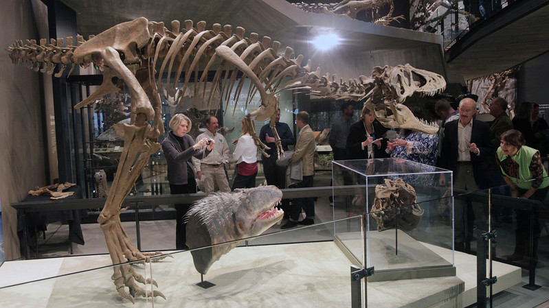 Ученые надеются, что находка поможет им лучше понять экосистему, в которой обитал этот хищник