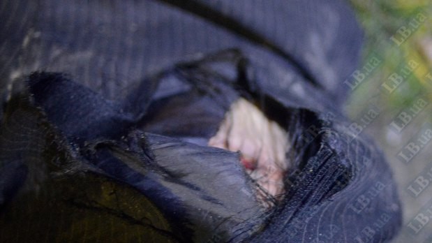 Макс Левин, Lb.ua